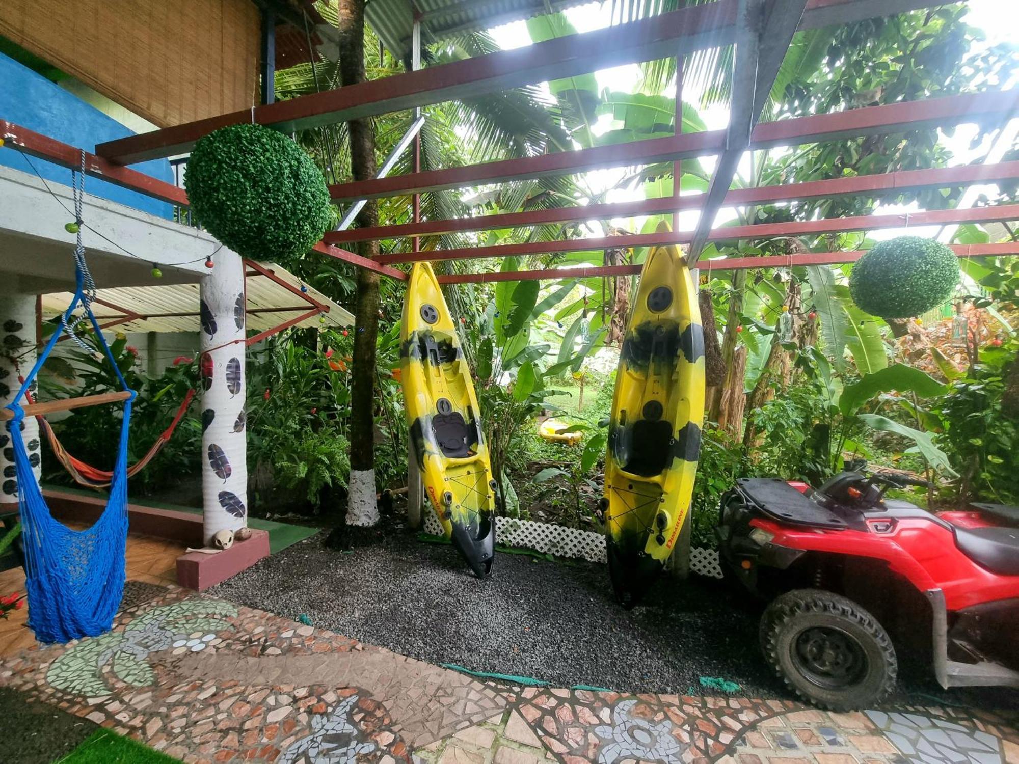 Wildlife Art Tortuguero Hotel Exterior foto
