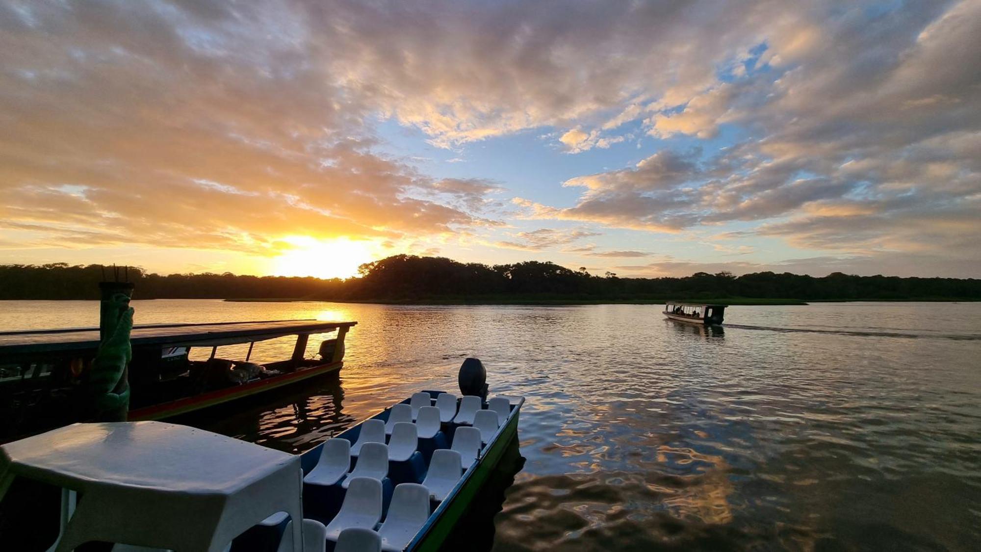 Wildlife Art Tortuguero Hotel Exterior foto